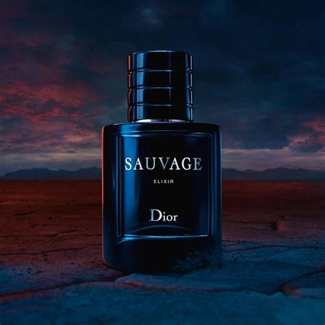 saulvage dior|Dior Sauvage cheapest price.